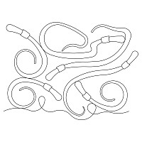 nightcrawlers e2e 002